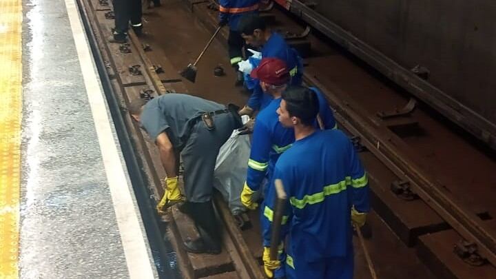 Metrô de SP: Estação Jardim São Paulo-Ayrton Senna, da Linha 1-Azul, continua sendo limpa neste domingo (26)
