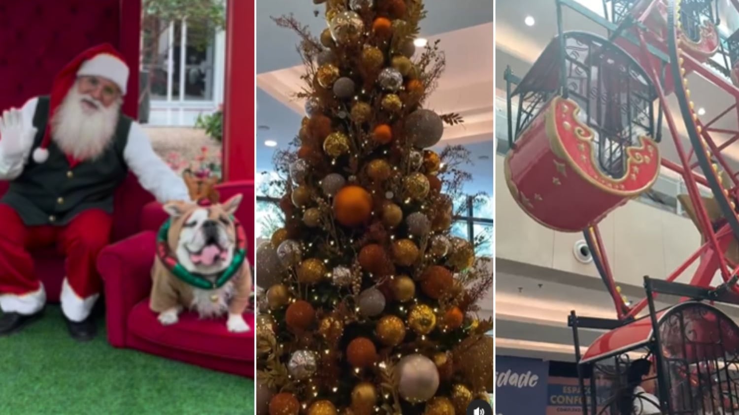 Veja algumas programações