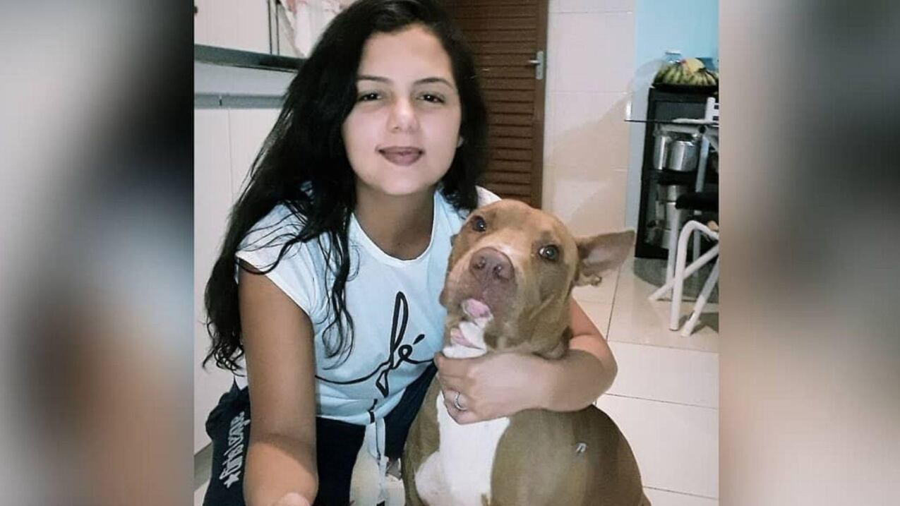 Pit-bull mata dona ocidental