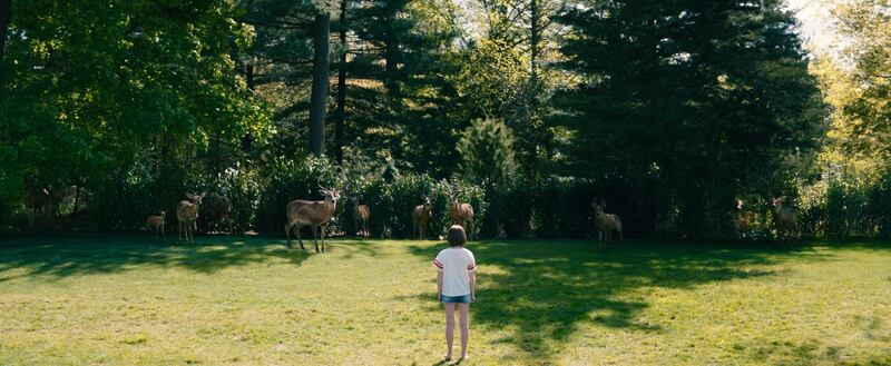Escenas de la película 'Dejar el mundo atrás'