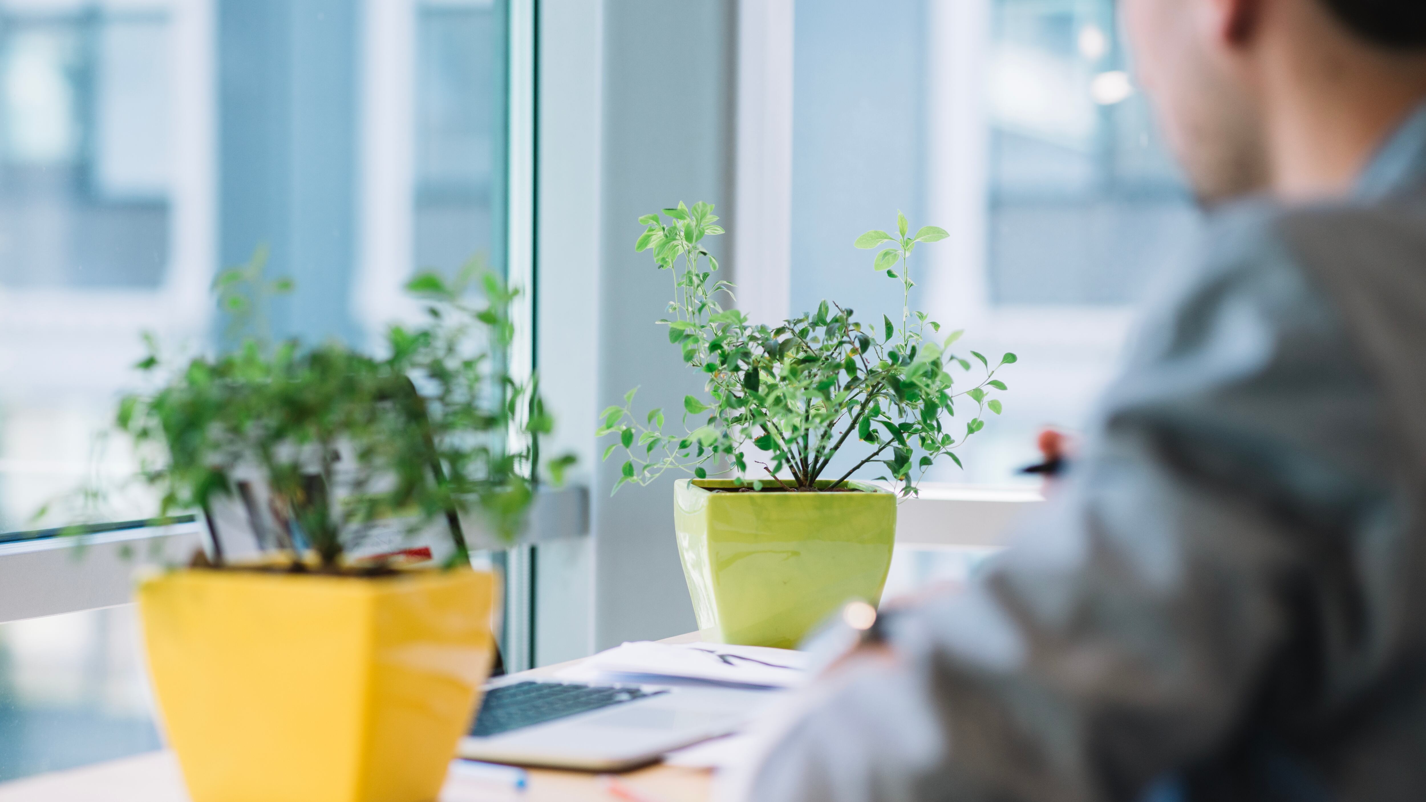 Los pequeños cambios pueden generar un gran impacto en el medio ambiente y en tu negocio. Aquí unos consejos para transformar tu oficina en un modelo de sustentabilidad