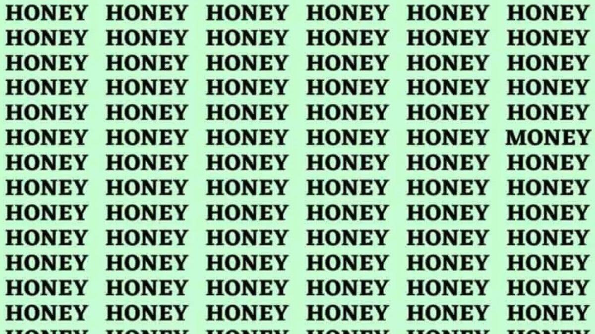 Encontre 'Money' no meio das palavras 'Honey'