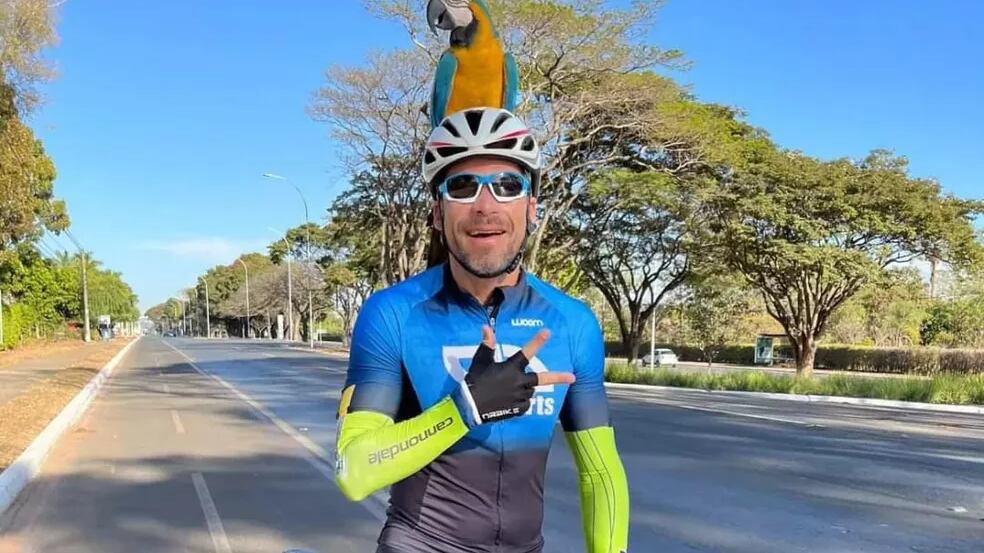 Arara 'pega carona' com ciclista no DF