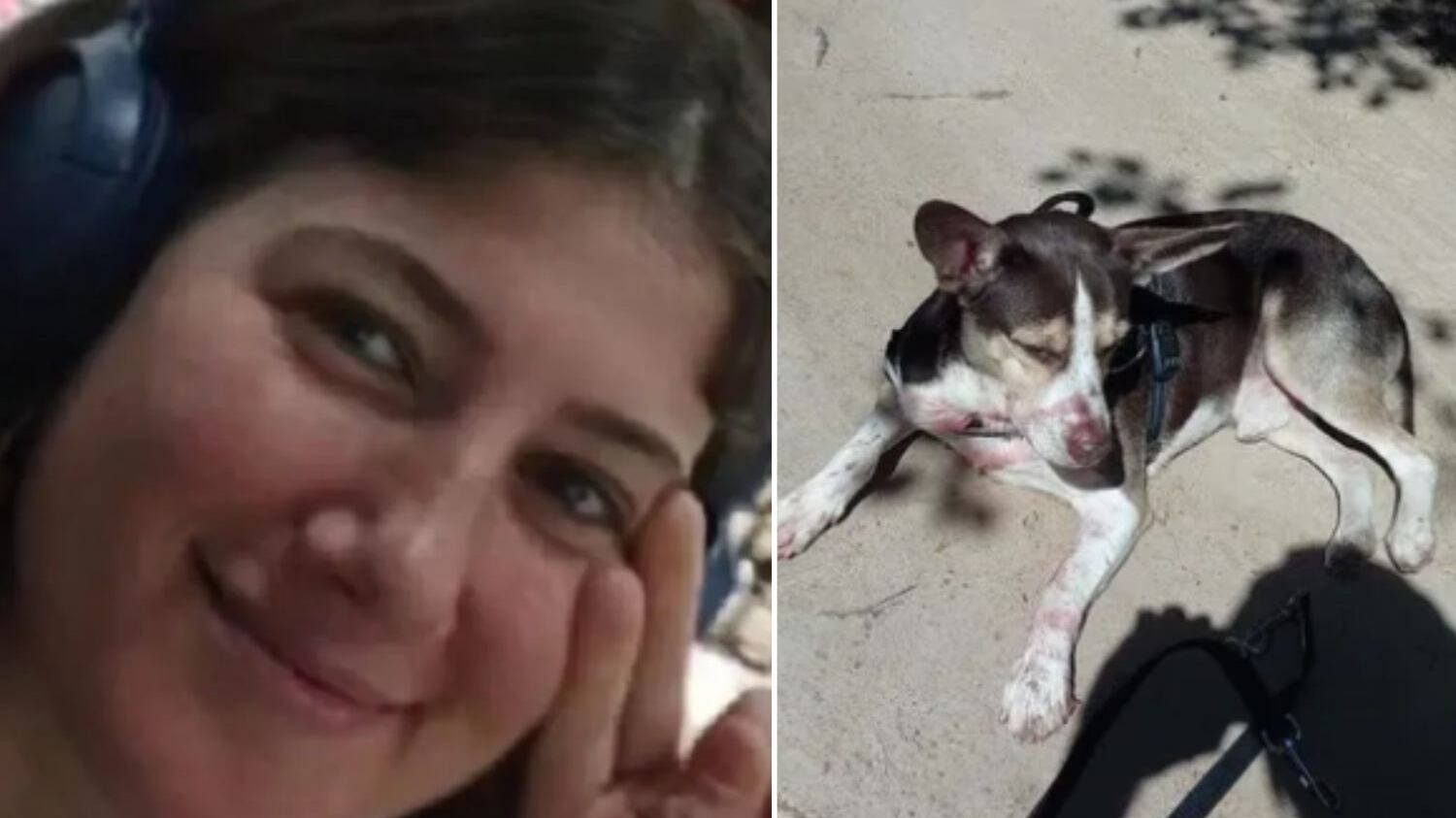 Cão foi deixado junto ao corpo e reagiu ao ver suspeito