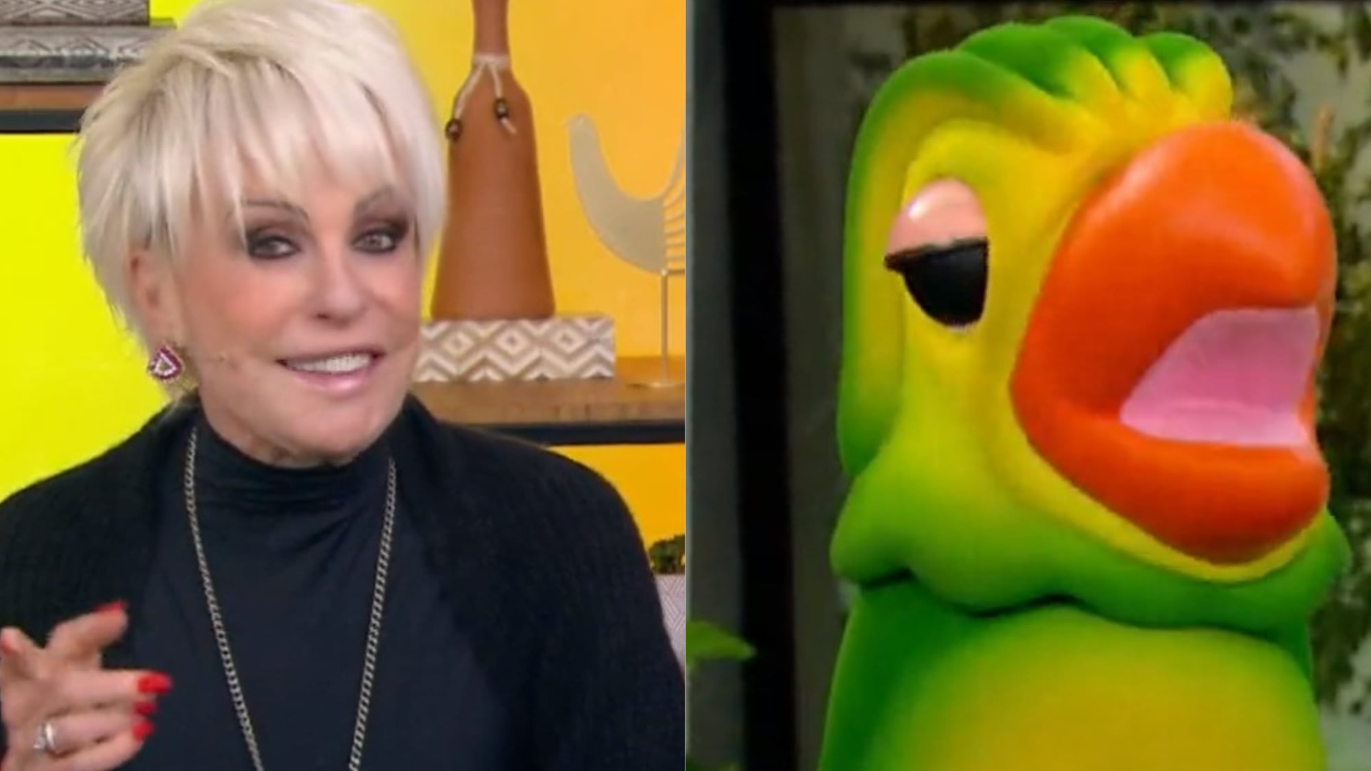 Ana Maria Braga e Louro Mané falam sobre 'Dia do Sexo' e divertem a web