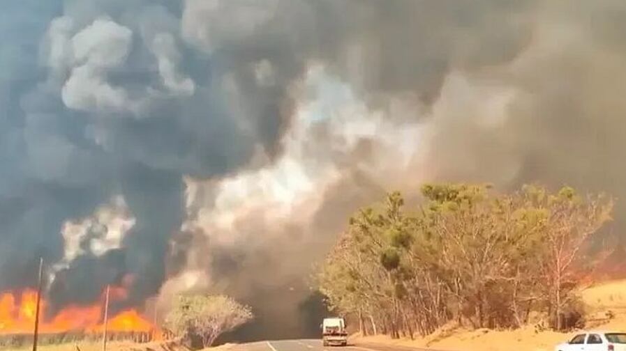 Governo diz que focos foram extintos