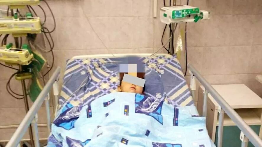 Mulher é presa após jogar filha em jaula de urso com altura de quase 5 metros