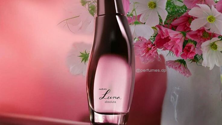 perfumes femininos que não prometem nada e entregam tudo