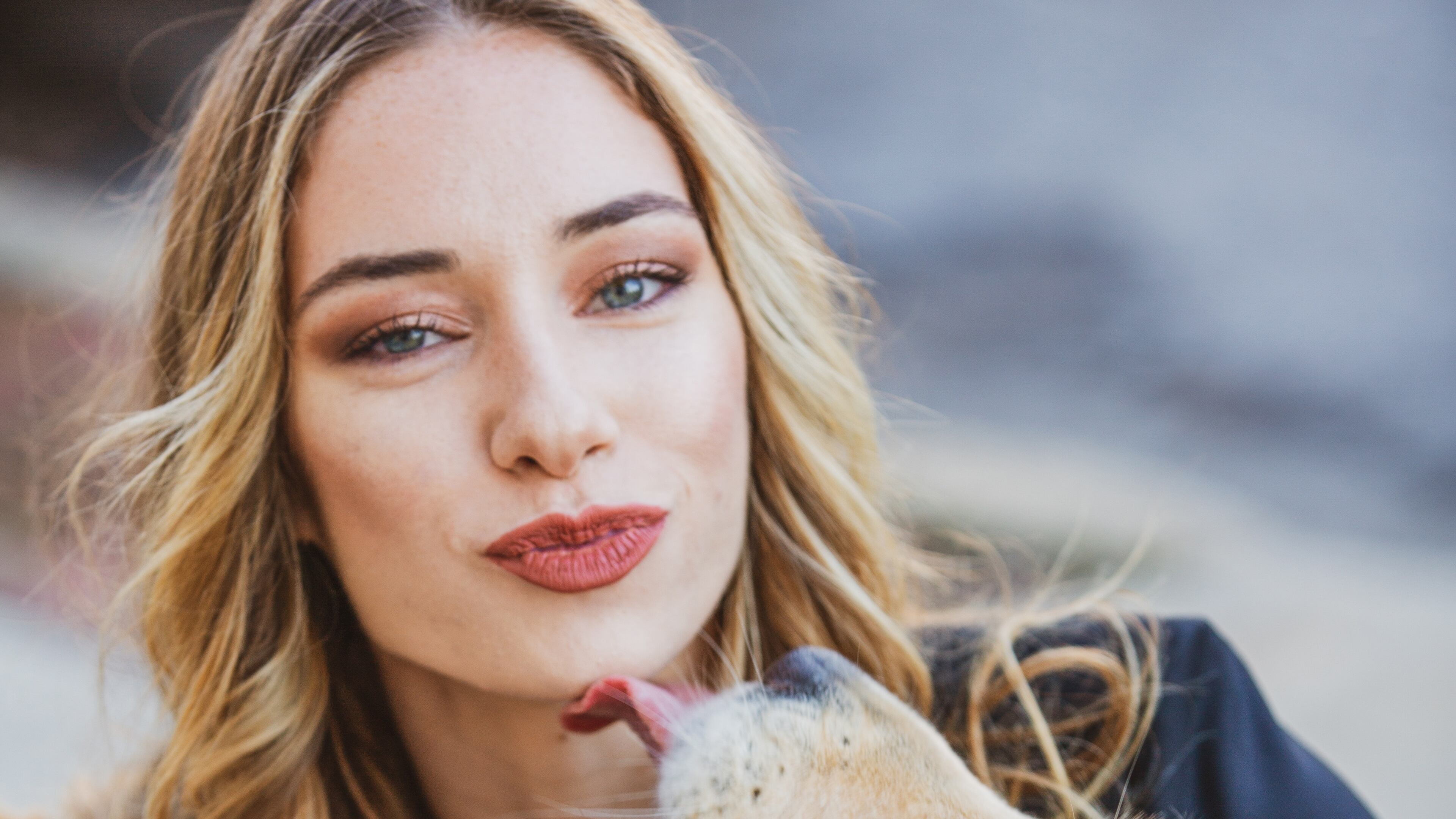 por qual motivo os cachorros lambem?