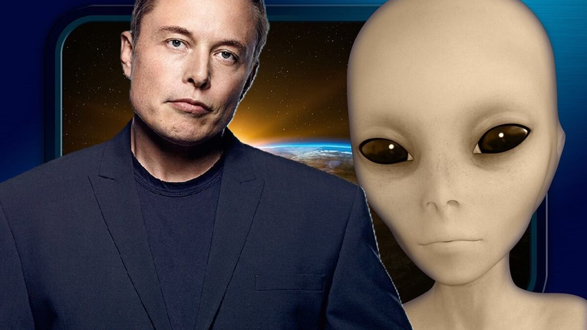 Piada disfarçada? Elon Musk diz que é um extraterrestre e ninguém acredita nele – Metro World News Brasil