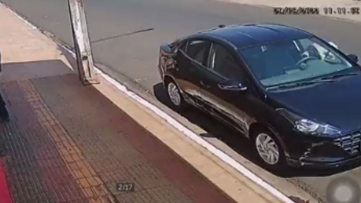 Cachorro 'furta' marmita e é flagrado por câmeras de segurança