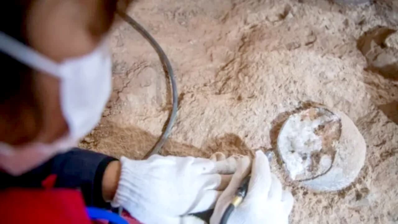 china-huevos-de-dinosaurio-hallados