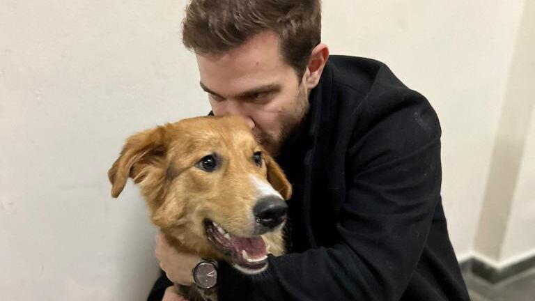 Cadela Moana após ser resgatada