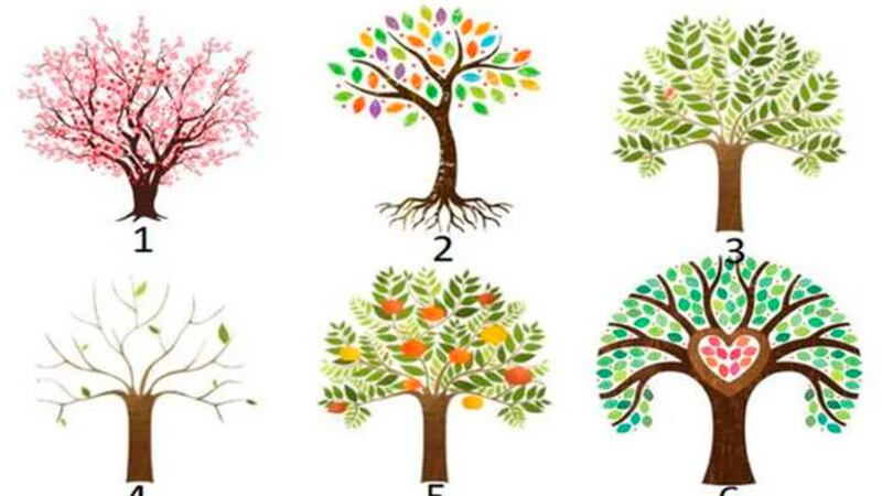 Escolha uma cor e número de árvore e veja o que ela pode revelar de sua personalidade
