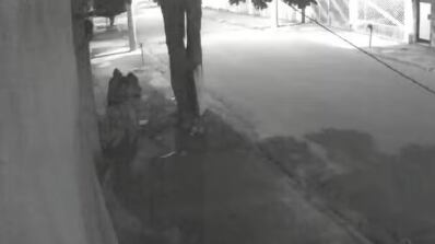 Ele disse que estava em 'saidinha' da prisão e 'só queria prazer'