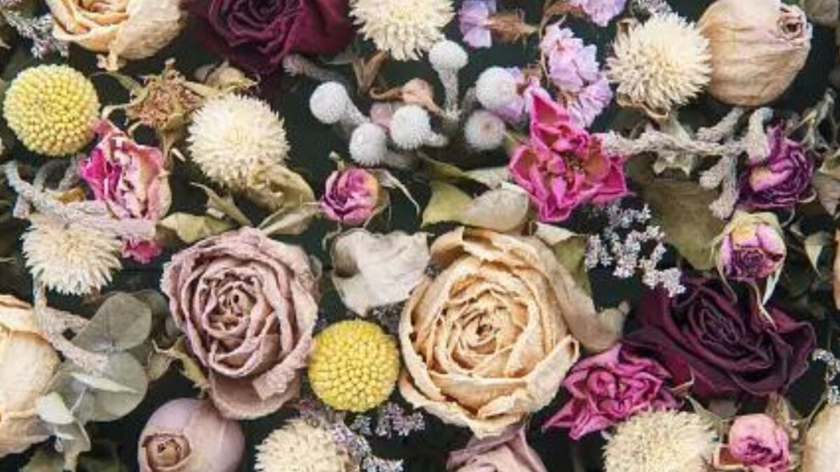 Feng Shui: la decoración que muchos tienen en su casa y que debes retirar de inmediato porque atrae mala suerte