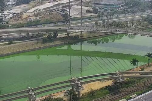 Tempo seco, poluição e proliferação de algas: saiba o que levou a água do Rio Pinheiros a ficar verde