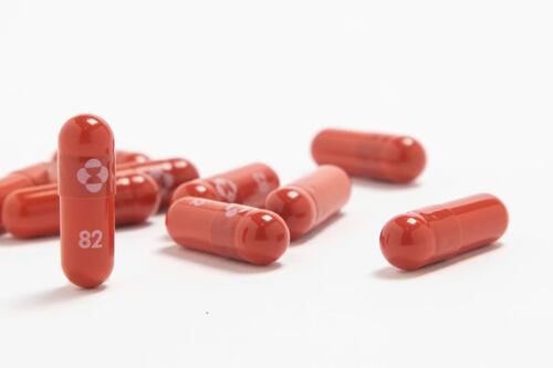 O que está por trás do molnupiravir, medicamento contra a Covid-19 aprovado pela Anvisa para uso emergencial