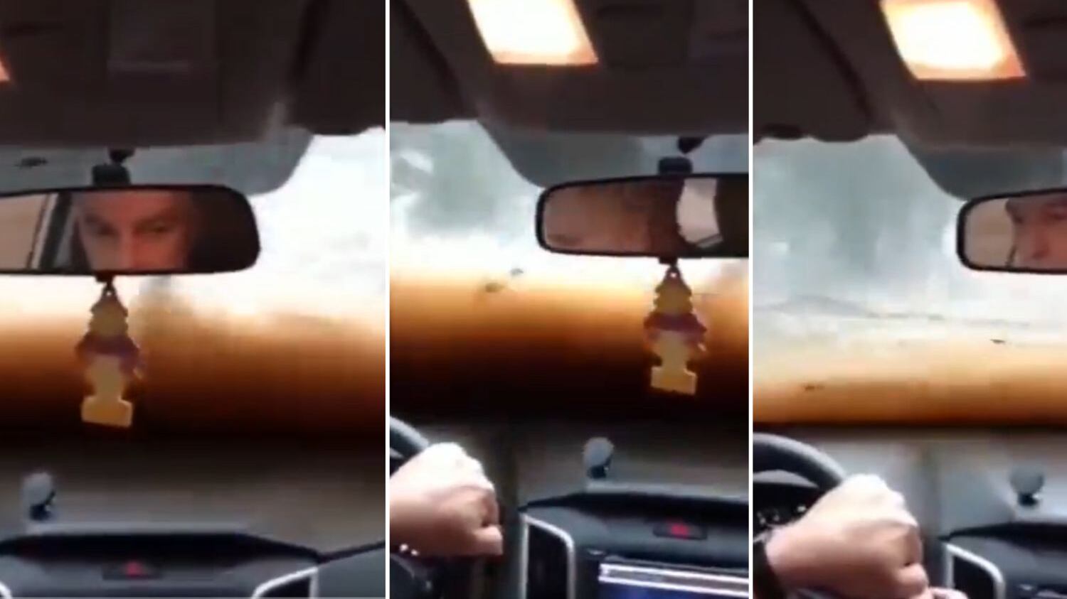 Eles escaparam ilesos