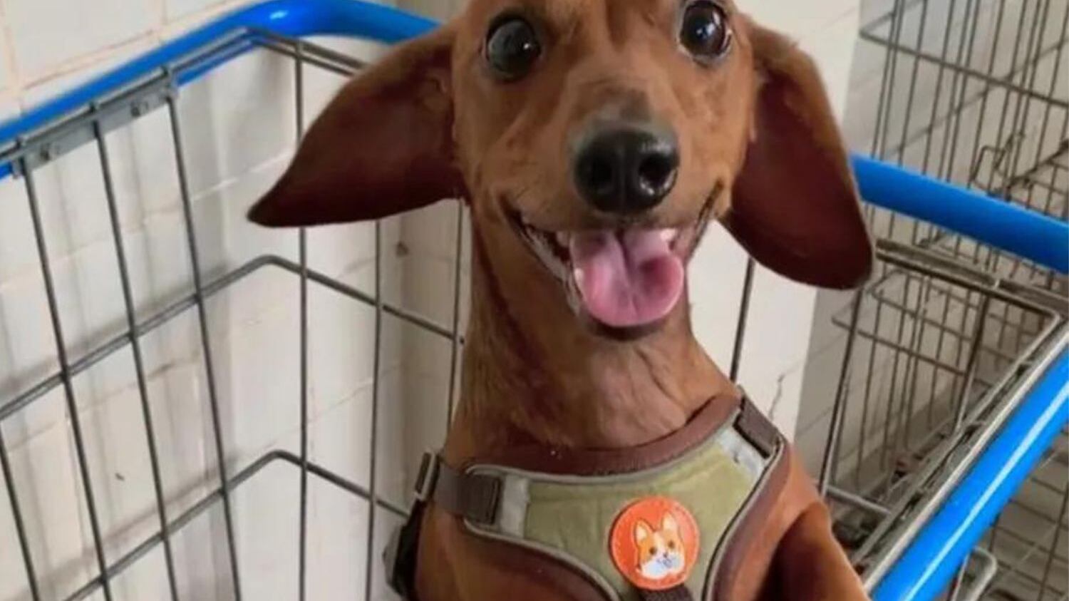 Polícia Civil investiga