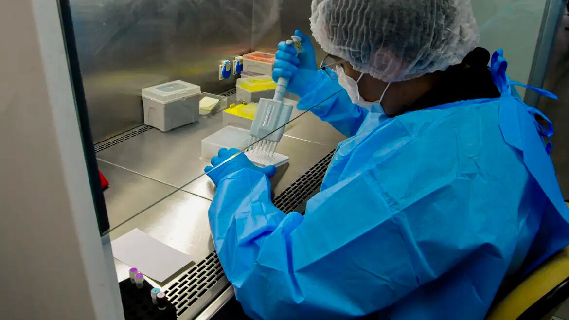 Teste de câncer de colo de útero