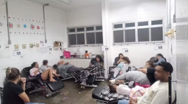 Prefeitura ressaltou que elas não ingeriram o veneno e seguem em observação.