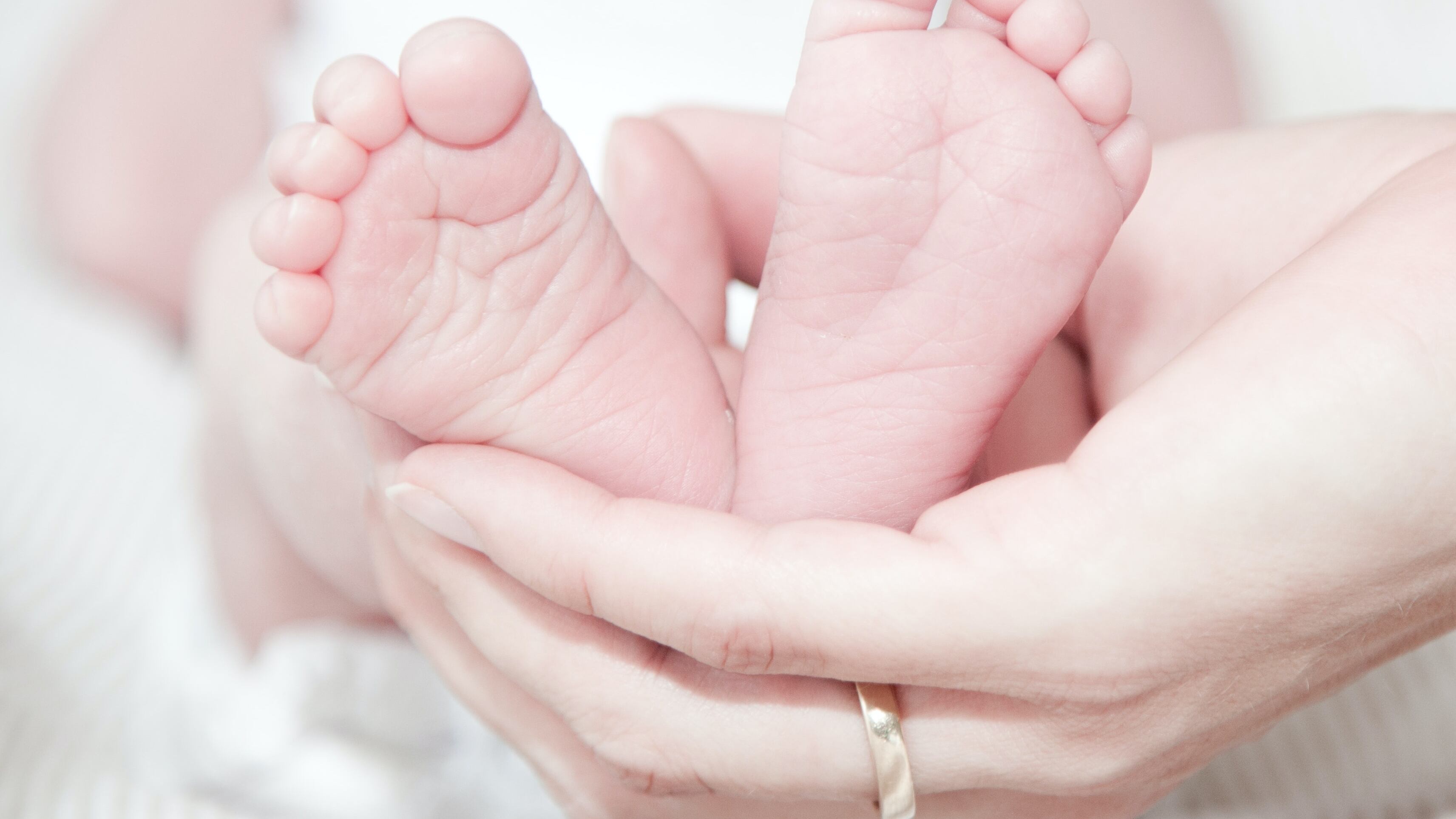 Maternidad subrogada.