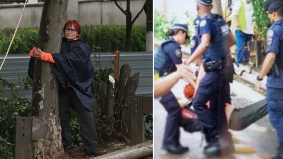 Ativistas questionam derrubada para construção de dois túneis