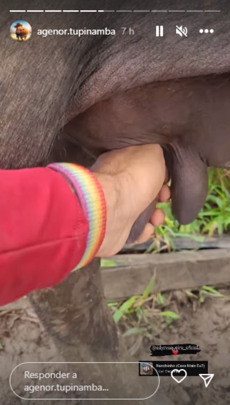 Após capivara Filó ser barrada, Agenor Tupinambá aparece com outro animal na internet
