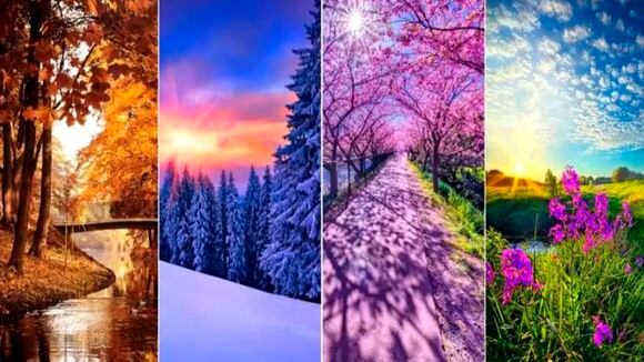 A paisagem colorida escolhida dirá o que mais te aflige