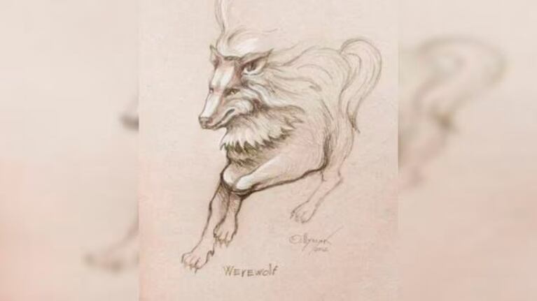 Um rosto ou um lobo? O que você vê nesta ilusão de ótica revela verdades sobre seu comportamento