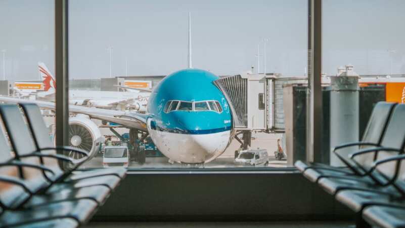 Passageira surpreende agentes ao carregar itens proibidos em bagagem de mão