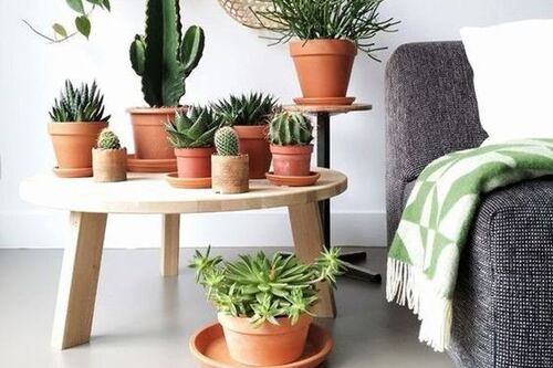 Quer decorar a casa, mas está sem dinheiro? Veja algumas dicas especiais aqui!