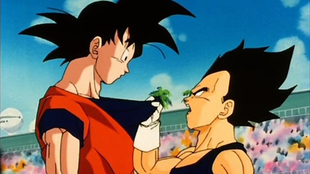 Goku y Vegeta - Dragon Ball Z