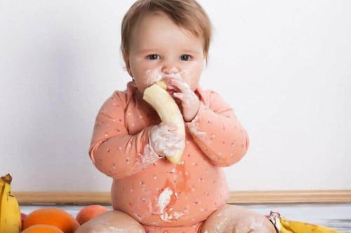 Como começar a introdução alimentar do seu bebê