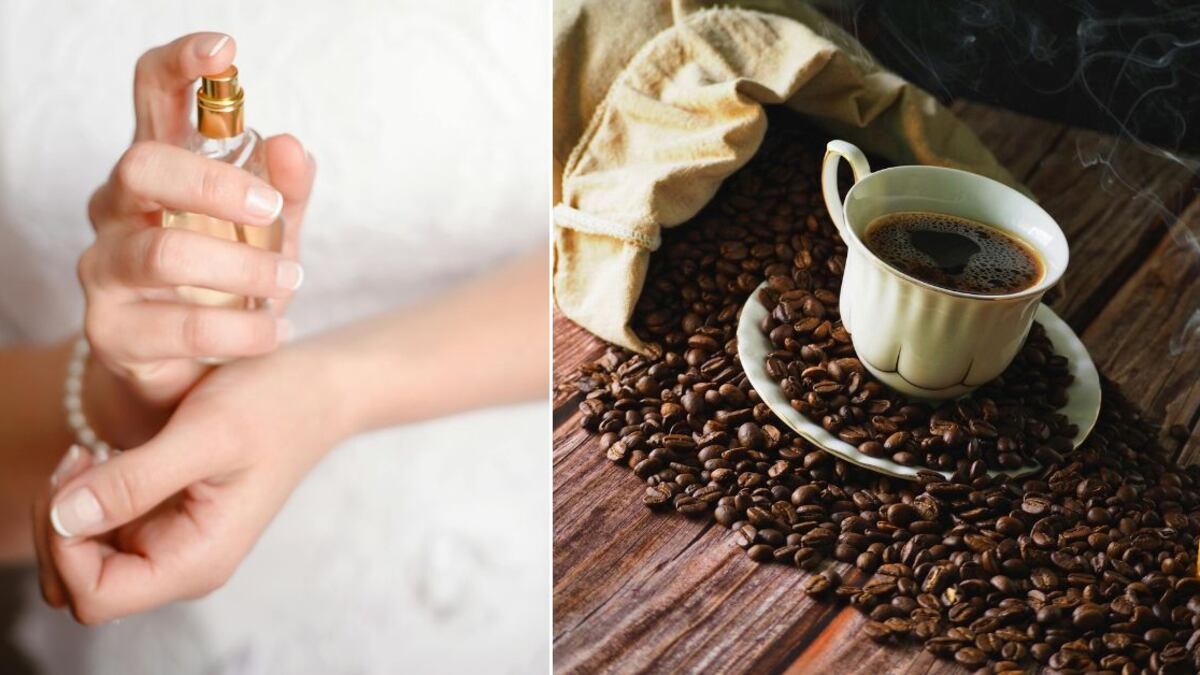 Los perfumes con olor a café son aromáticos, complejos y seductores