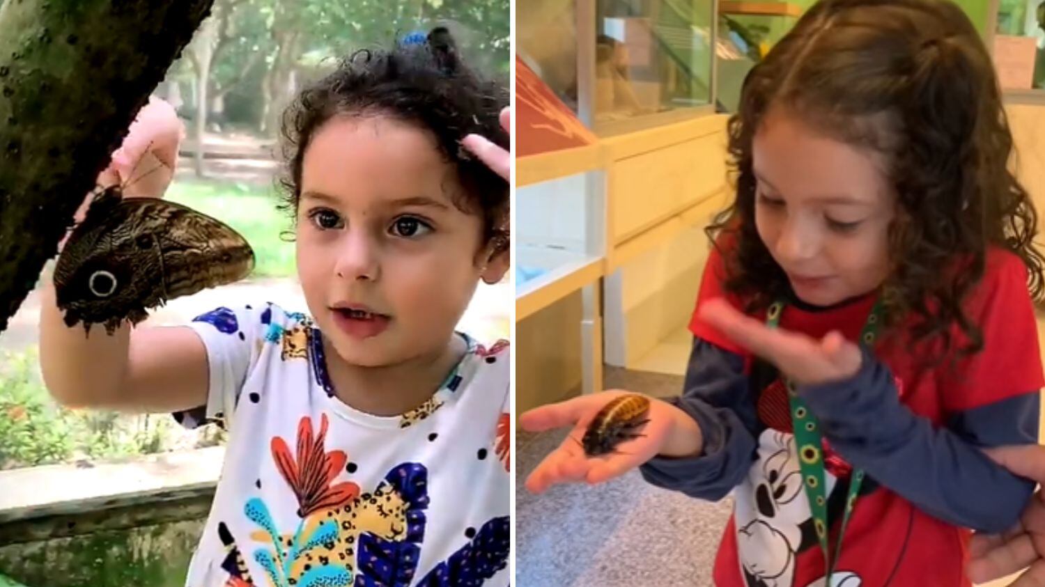 Pequena paraense esteve em SP e visitou o Museu Planeta Inseto