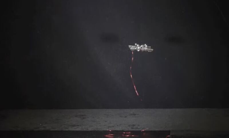 Captura - Robot insecto - Marte