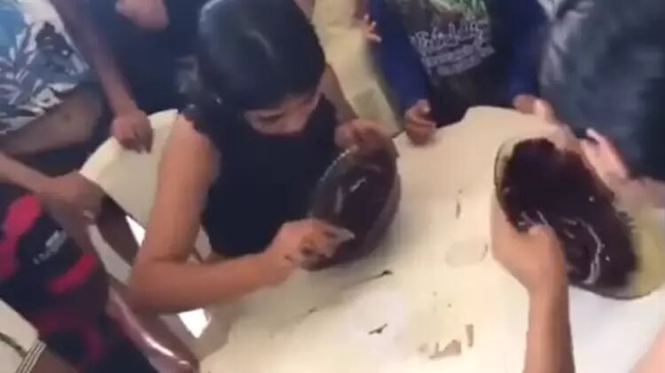 Competição em Belém, no Pará, viralizou nas redes