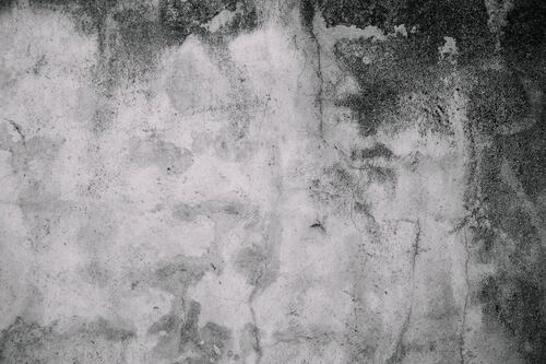 Truques para você eliminar os fungos das paredes