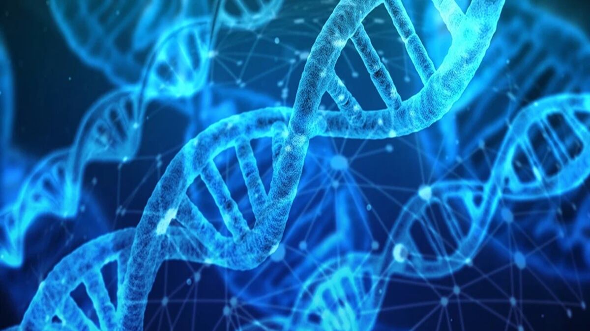 ADN y ARN - representación Pixabay