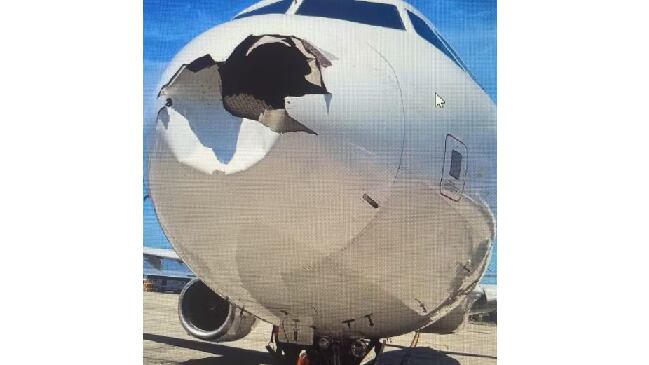 Aeronave ficou com o bico avariado devido a colisão