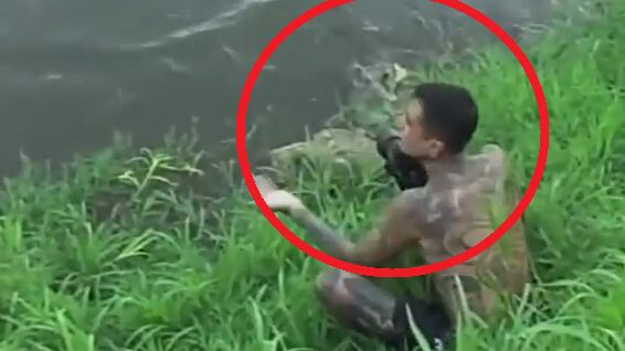 Vídeo: Fotógrafo se arrisca para tentar registrar crocodilos e escapa por pouco de ataque inusitado; assista
