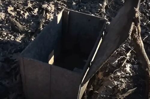 Caiaqueiras ficam chocadas ao encontrarem caixa enterrada na lama com algo se mexendo