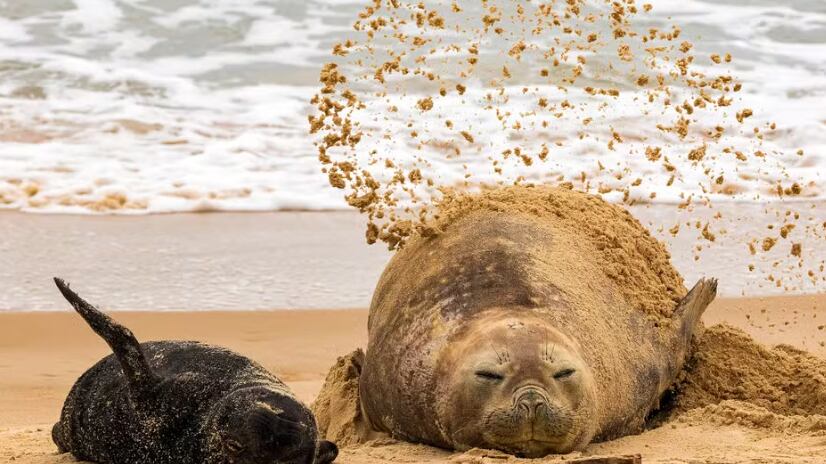 Foto: Daniel De Granville/Arquivo pessoal