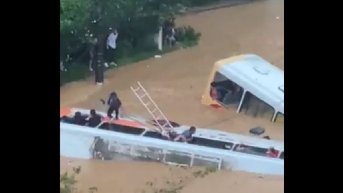 Passageiros tentam escapar de ônibus submersos em Petrópolis