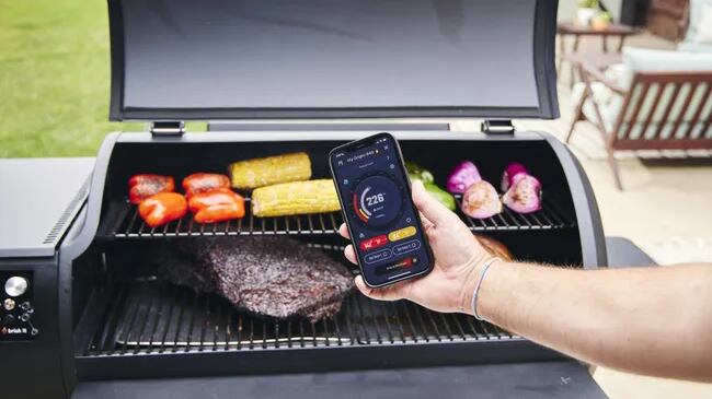 Vera - Inteligencia Artificial.