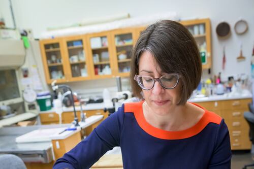 Especialista descobre perigos ocultos dos livros do século XIX que têm arsênico