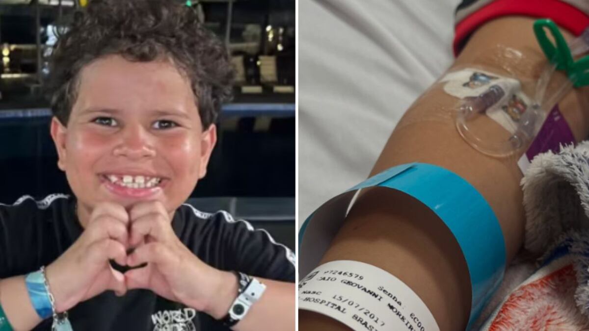 Garoto foi mordido no rosto e nas mãos.