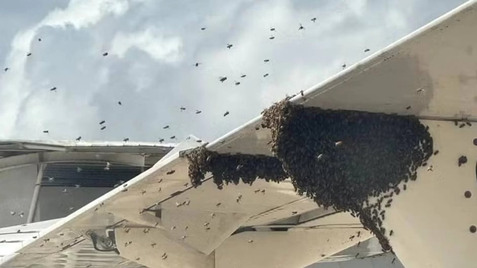 Desembarque atrasou em mais de 1h